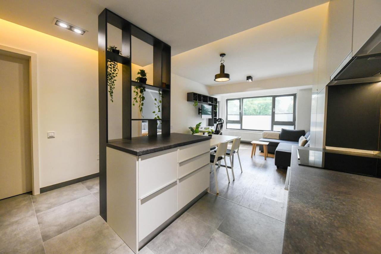 Modern Apartment In A Quiet Area Kluż-Napoka Zewnętrze zdjęcie